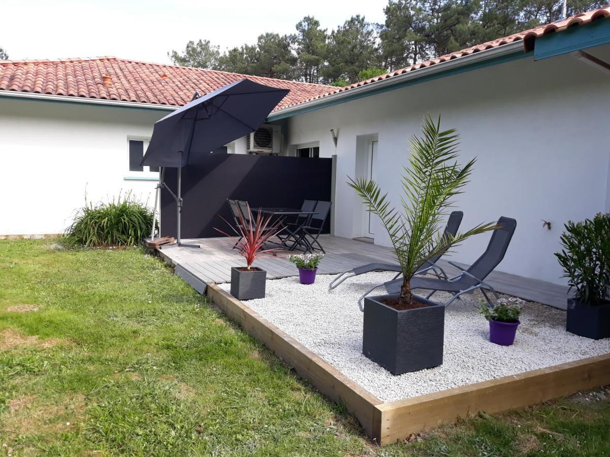 Chambre D'Hotes Du Pin Pey Exterior foto